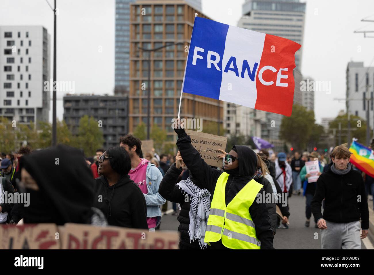 A woman wearing a Yellow Vest (Gilet Jaune) holds a French flag during ...