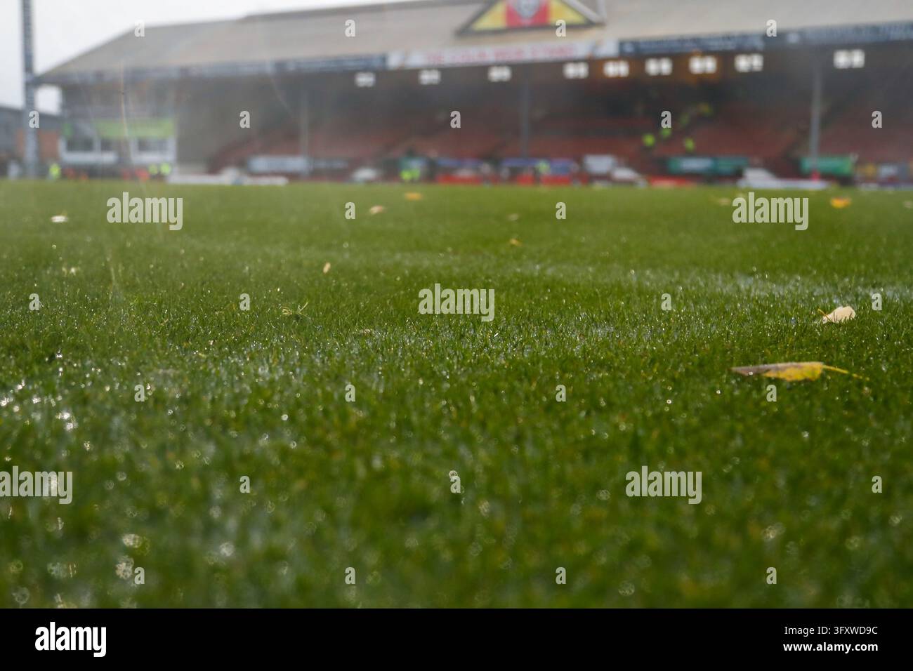 Jacobs Vector Close up of grass after the William Hill Championship match between ...