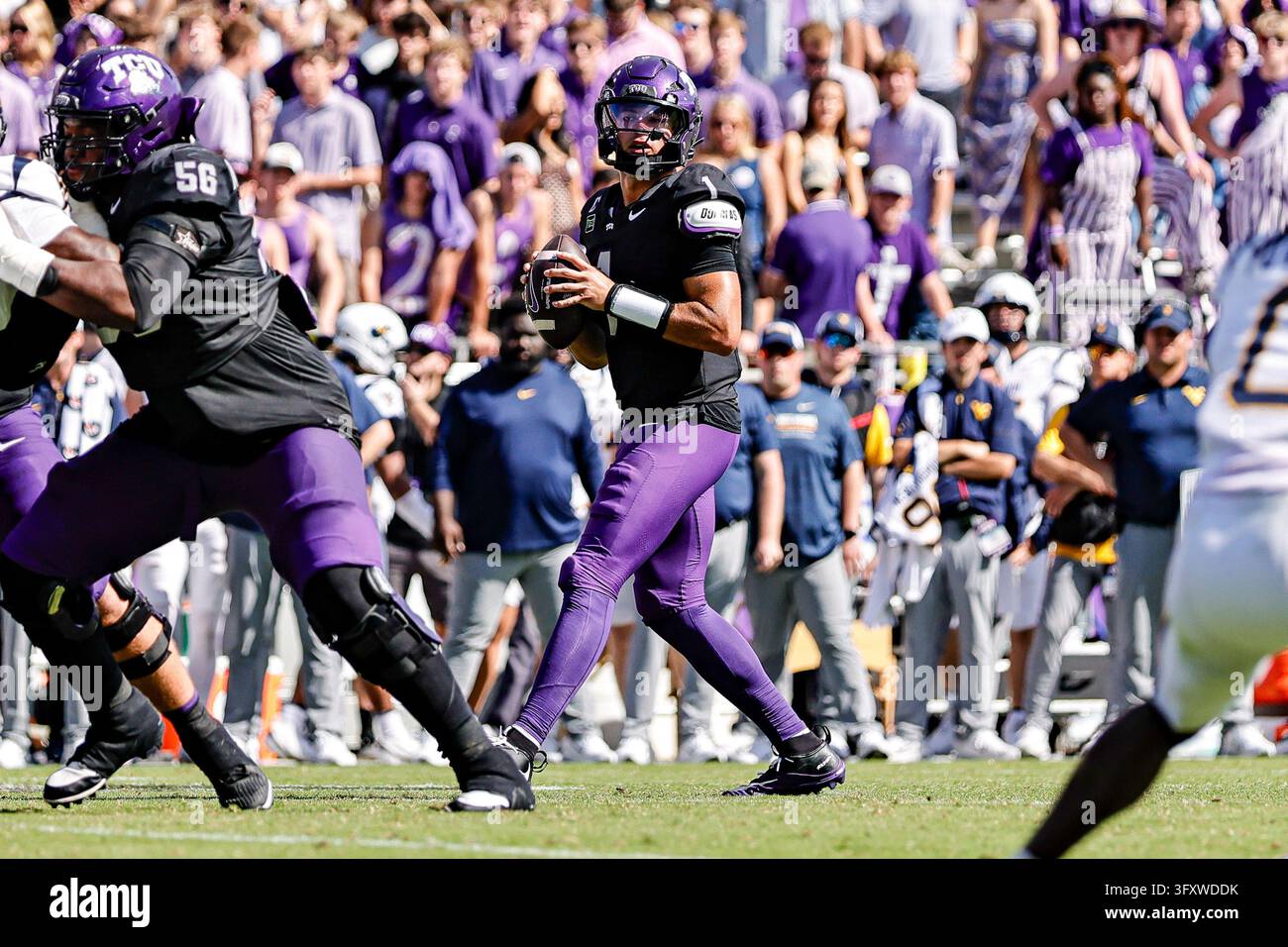 FORT WORTH, TX - OCTOBER 24: Texas Christian University Horned Frogs ...