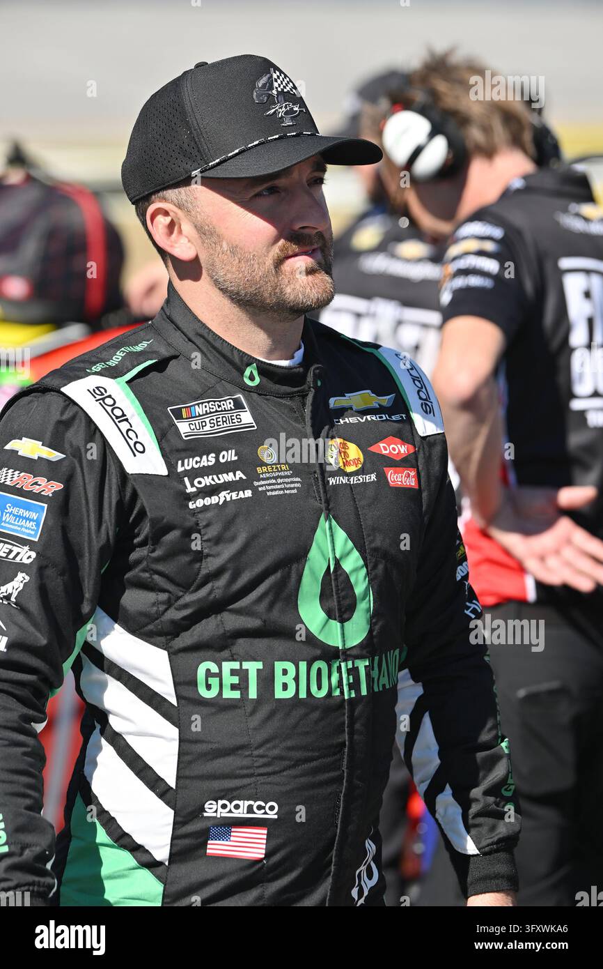 TALLADEGA, AL - OCTOBER 24: Austin Dillon (#3 Richard Childress Racing ...