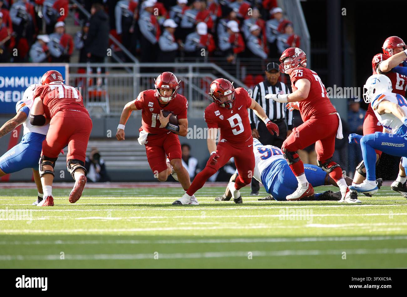 PULLMAN, WA - OCTOBER 24: Washington State Cougars quarterback Owen ...