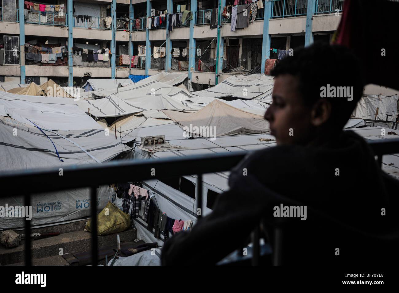 Palestinian Plate Palestinian Boy Who Lost Family in Israeli Strike Awaits Treatment ...