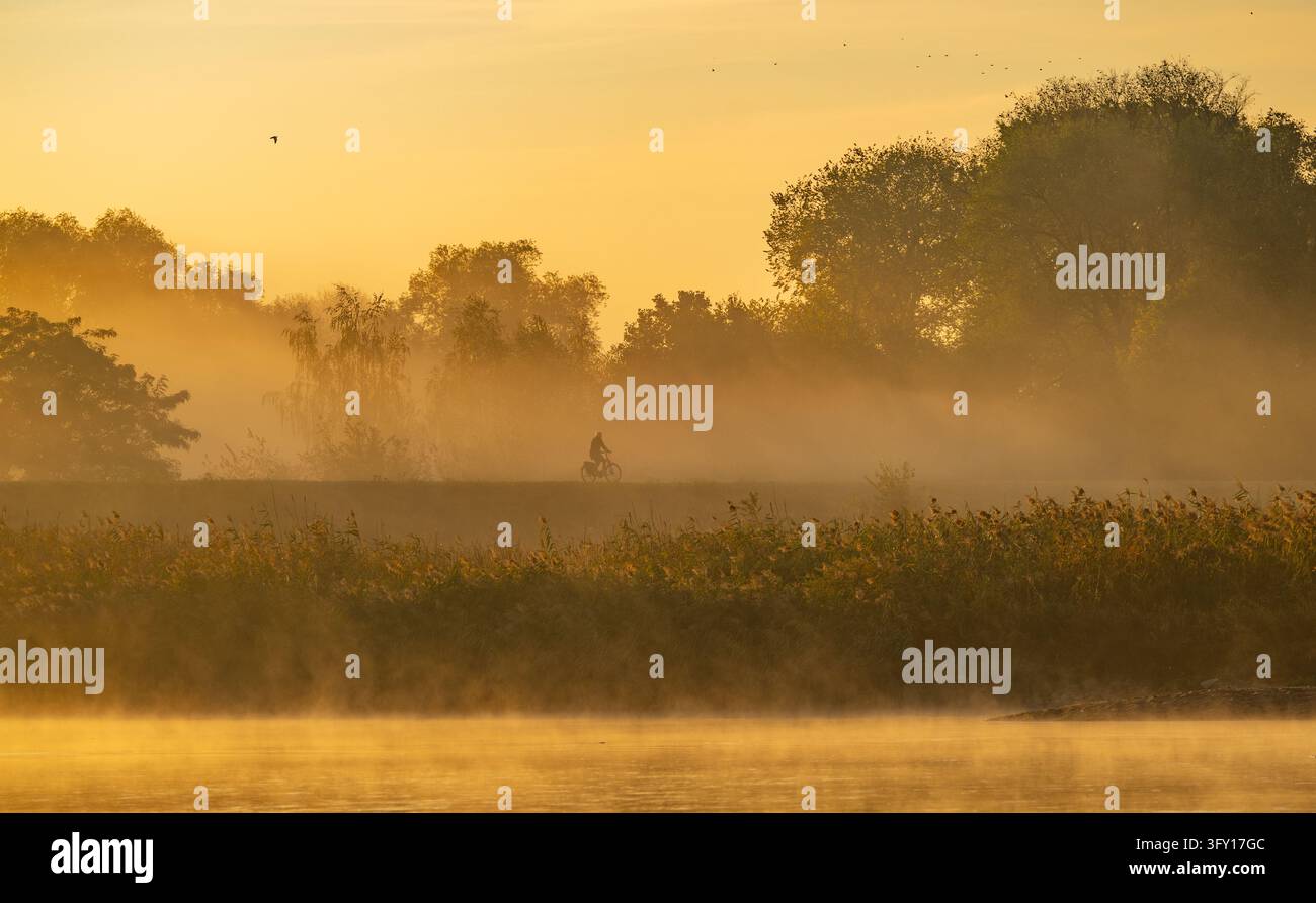 06 October 2026, Brandenburg, Lebus: At sunrise, fog rolls across the ...