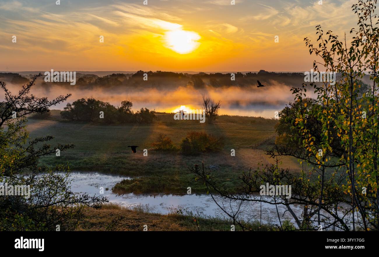 06 October 2026, Brandenburg, Lebus: Fog drifts across the Oder River ...