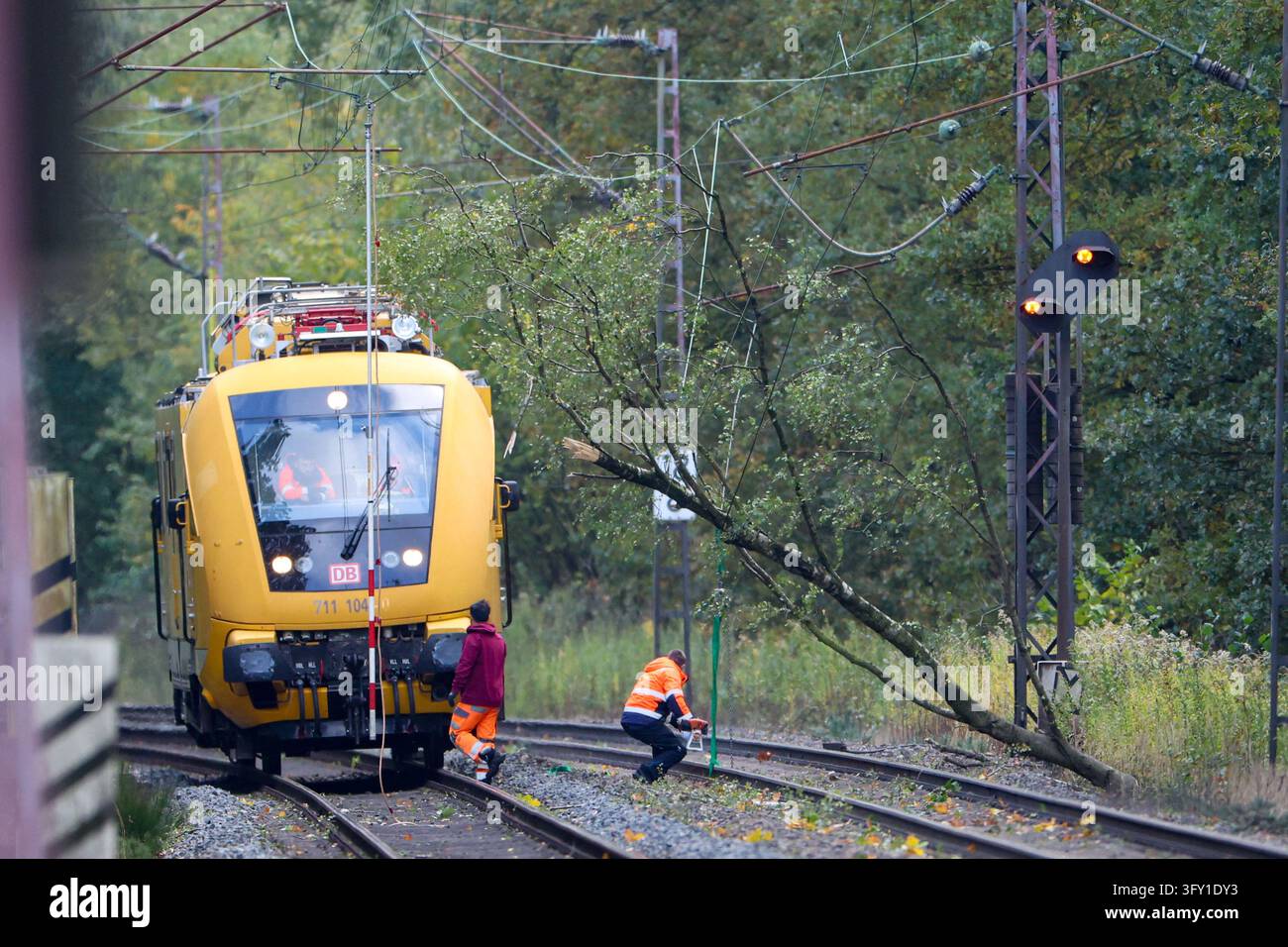 Tree On Rails 25 October 2026, North Rhine-Westphalia, Marl-Sinsen: On the rail line ...