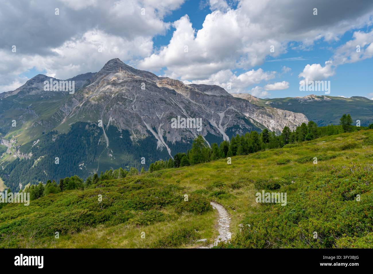 Hiker explores lush alpine meadows with towering peaks under bright skies evoking tranquility and awe Stock Photo
