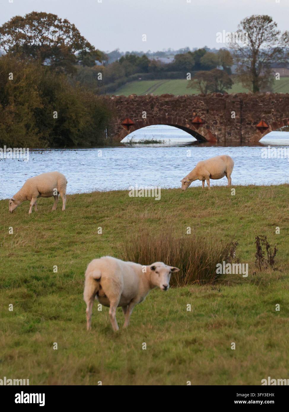 Storm Graphics Storm boelo northern ireland hi-res stock photography and images - Alamy