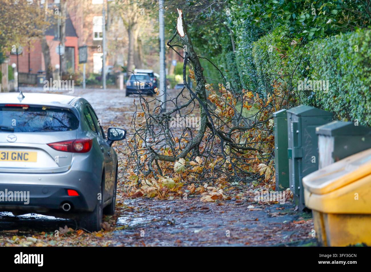 Jacobs Vector Aftermath of Storm Boelo after it hit Glasgow with reported over 80 mph ...