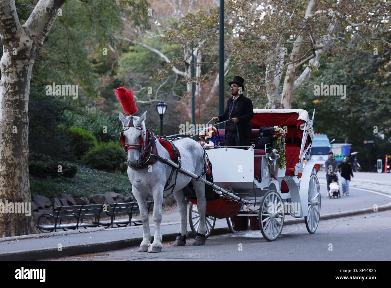 Horse Carriage in Central Park New York, NY on October 24, 2026. New ...