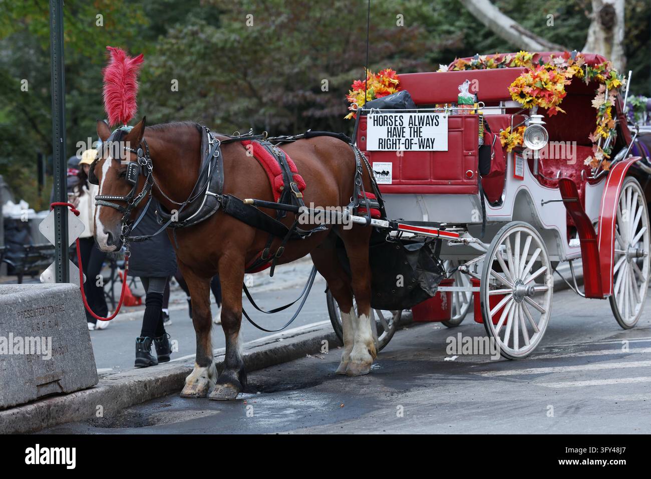 Horse Carriage in Central Park New York, NY on October 24, 2026. New ...