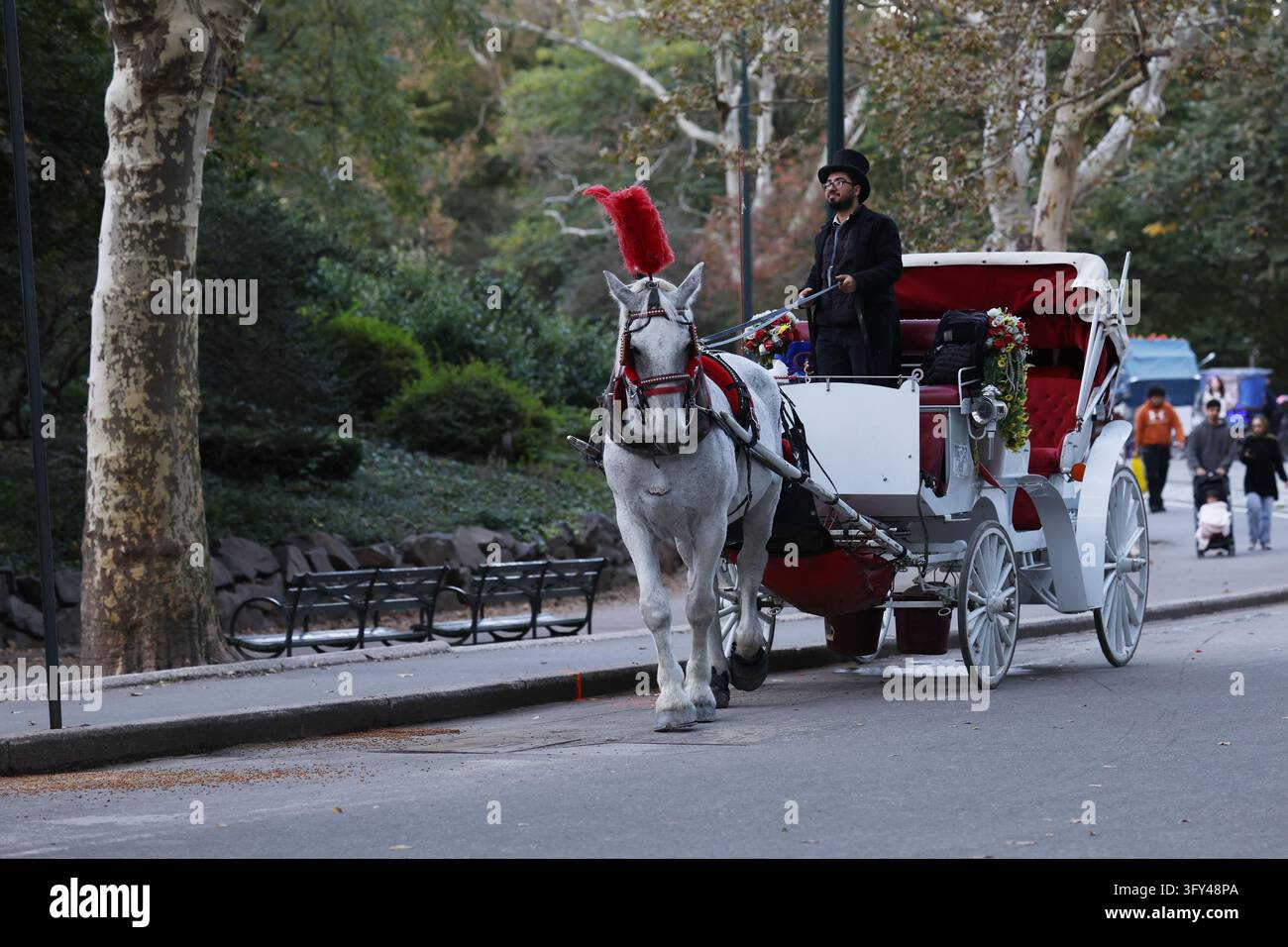 Horse Carriage in Central Park New York, NY on October 24, 2026. New ...