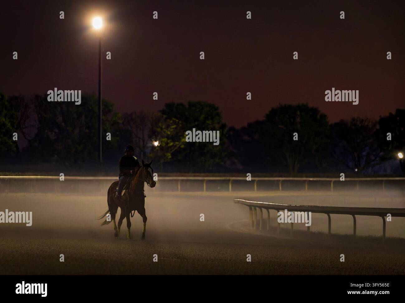 October 11, 2026, Lexington, Ky, USA: Scenes from the Breeders' Cup ...