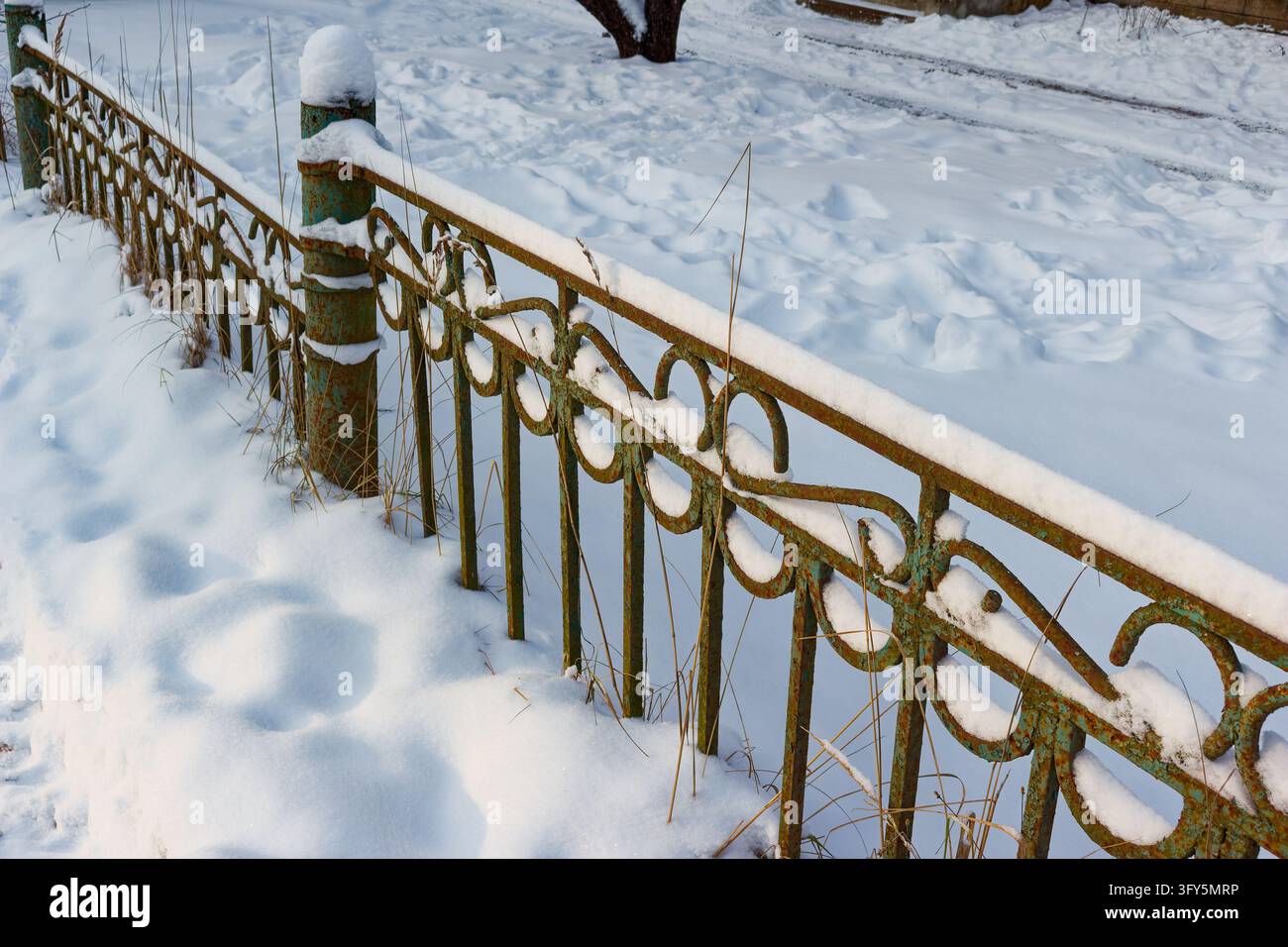 Old decorative metal fence covered with fluffy white snow in winter ...