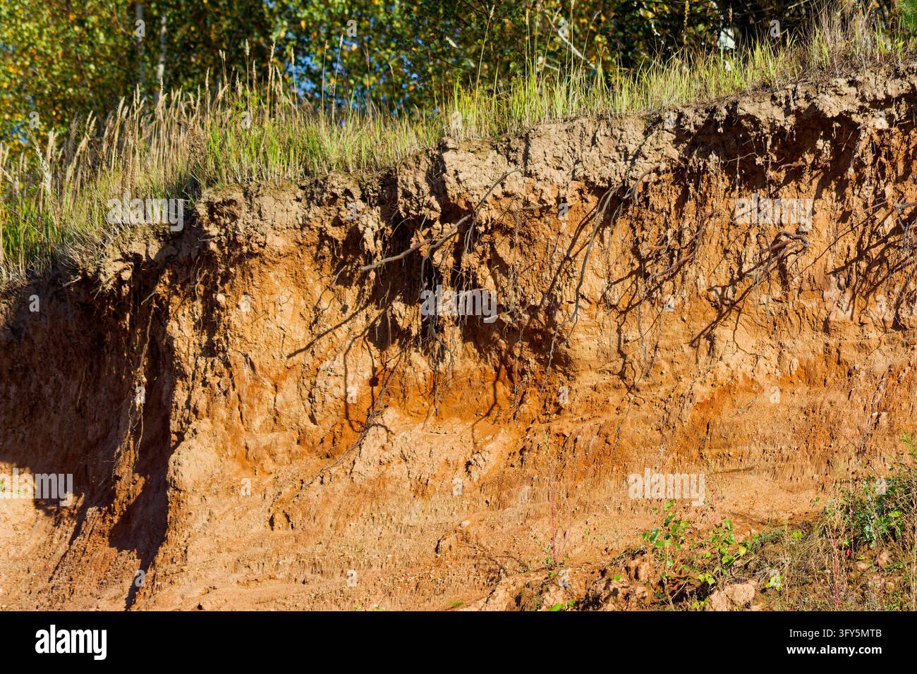 Exposed clay soil cliff profile showing deep geological layers and ...