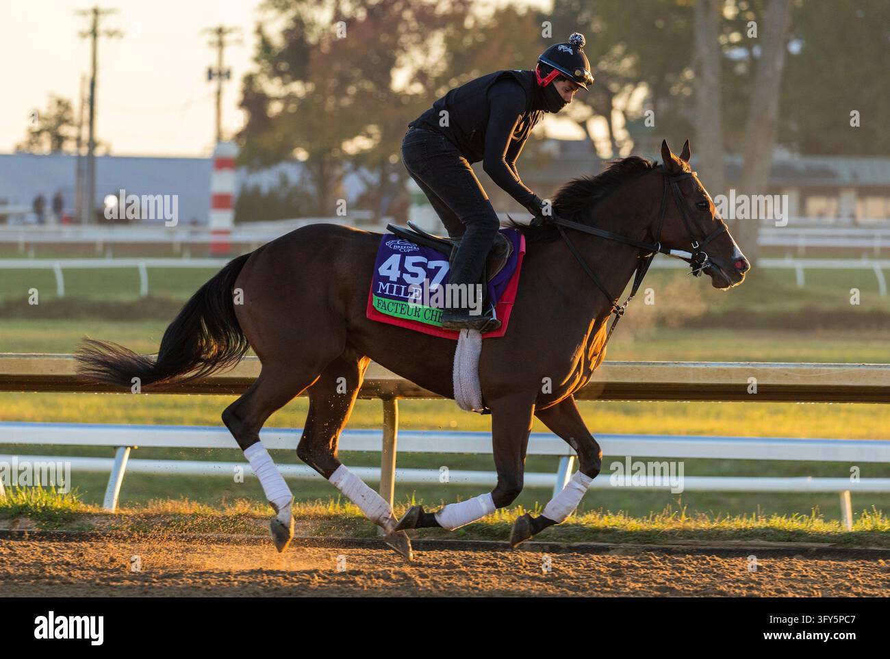 October 11, 2026, Lexington, Ky, USA: Facteur Cheval exercises in ...
