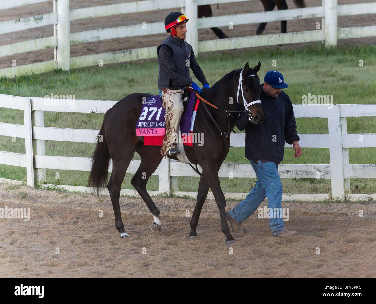 October 11, 2026, Lexington, Ky, USA: Vanta exercises in preparation ...