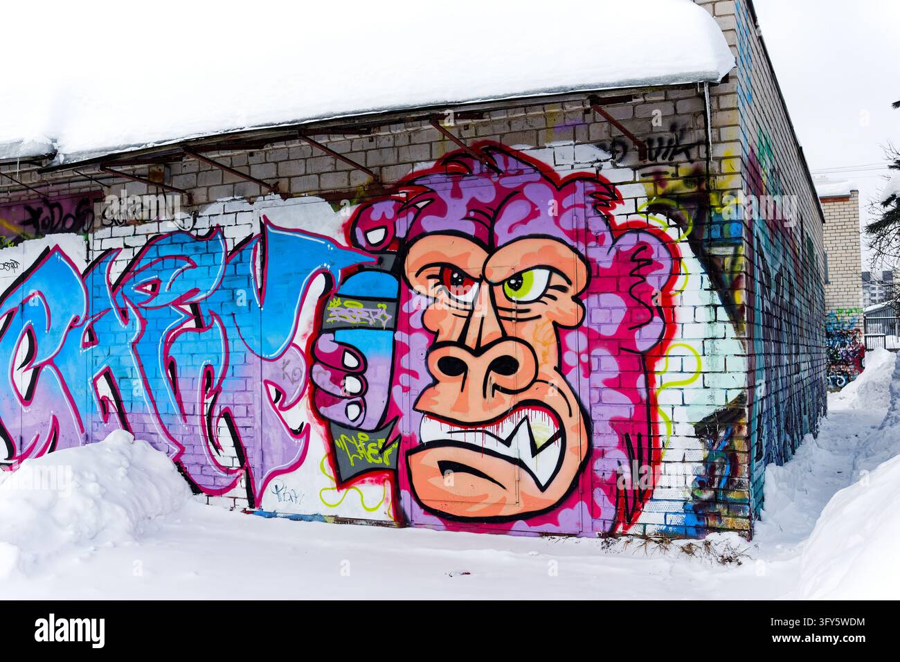 Aggressive gorilla face graffiti art painted on a white brick garage ...
