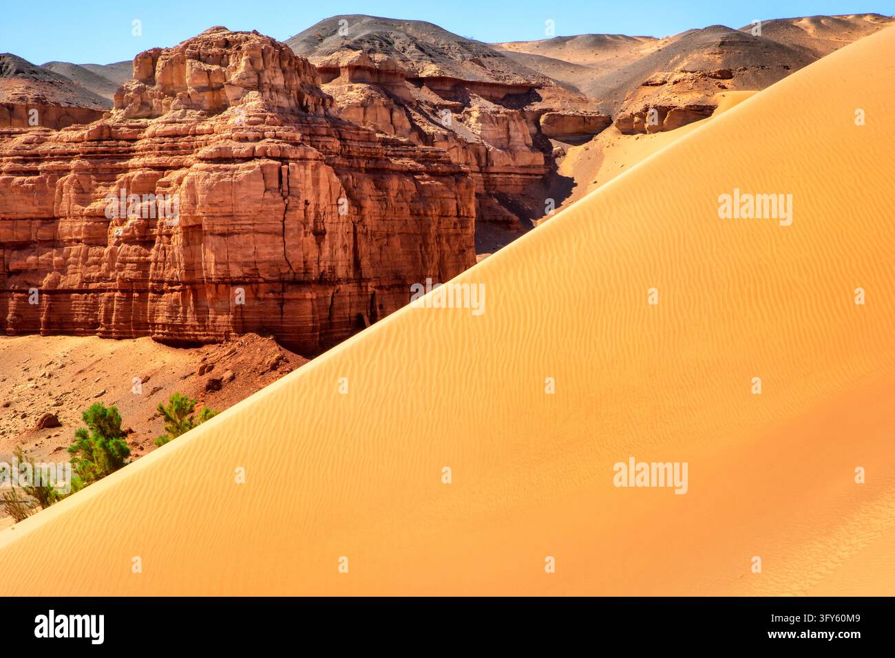 Majestic sand mountains and wind-rippled dunes in the Gobi Desert of ...