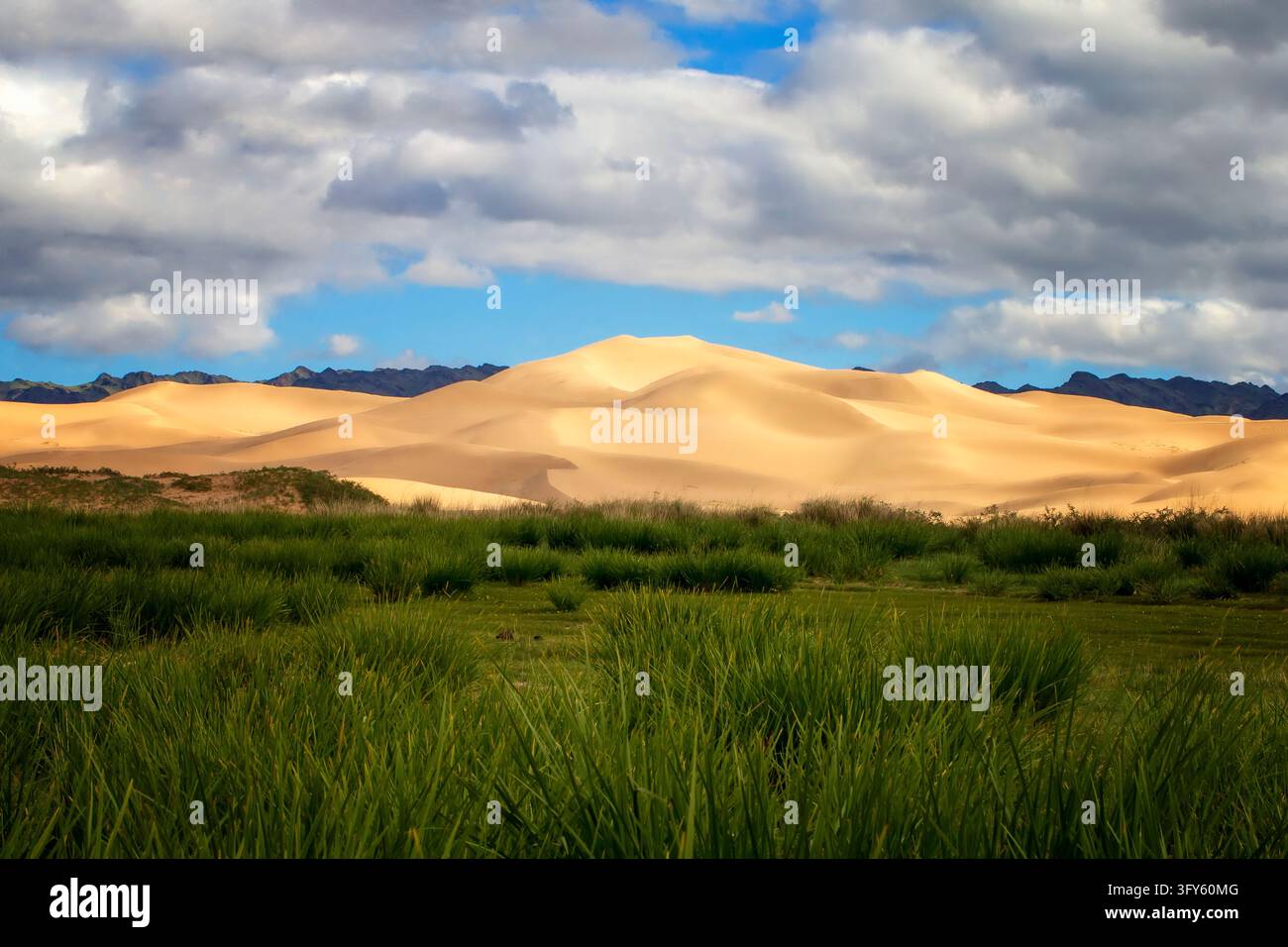 Majestic sand mountains and wind-rippled dunes in the Gobi Desert of ...