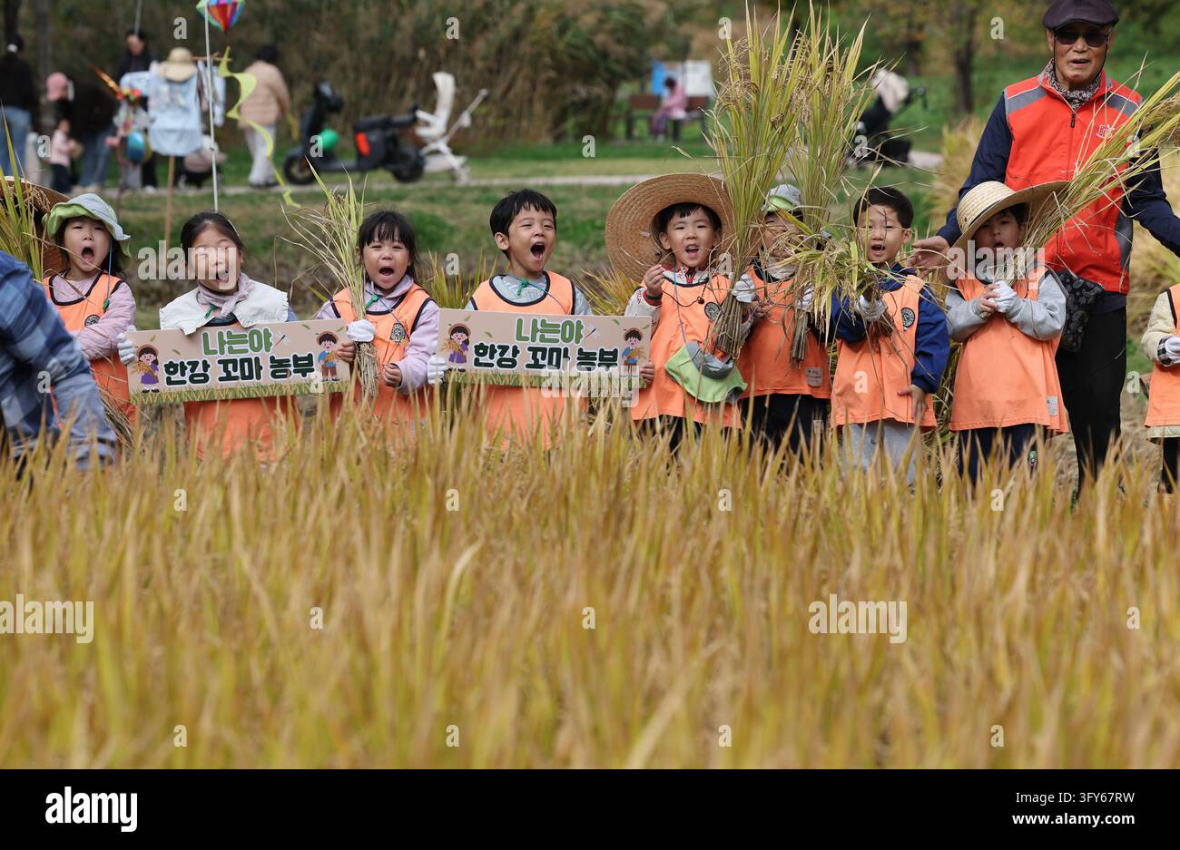 Comp Learning Children experience rice harvesting Children take part in an event to ...
