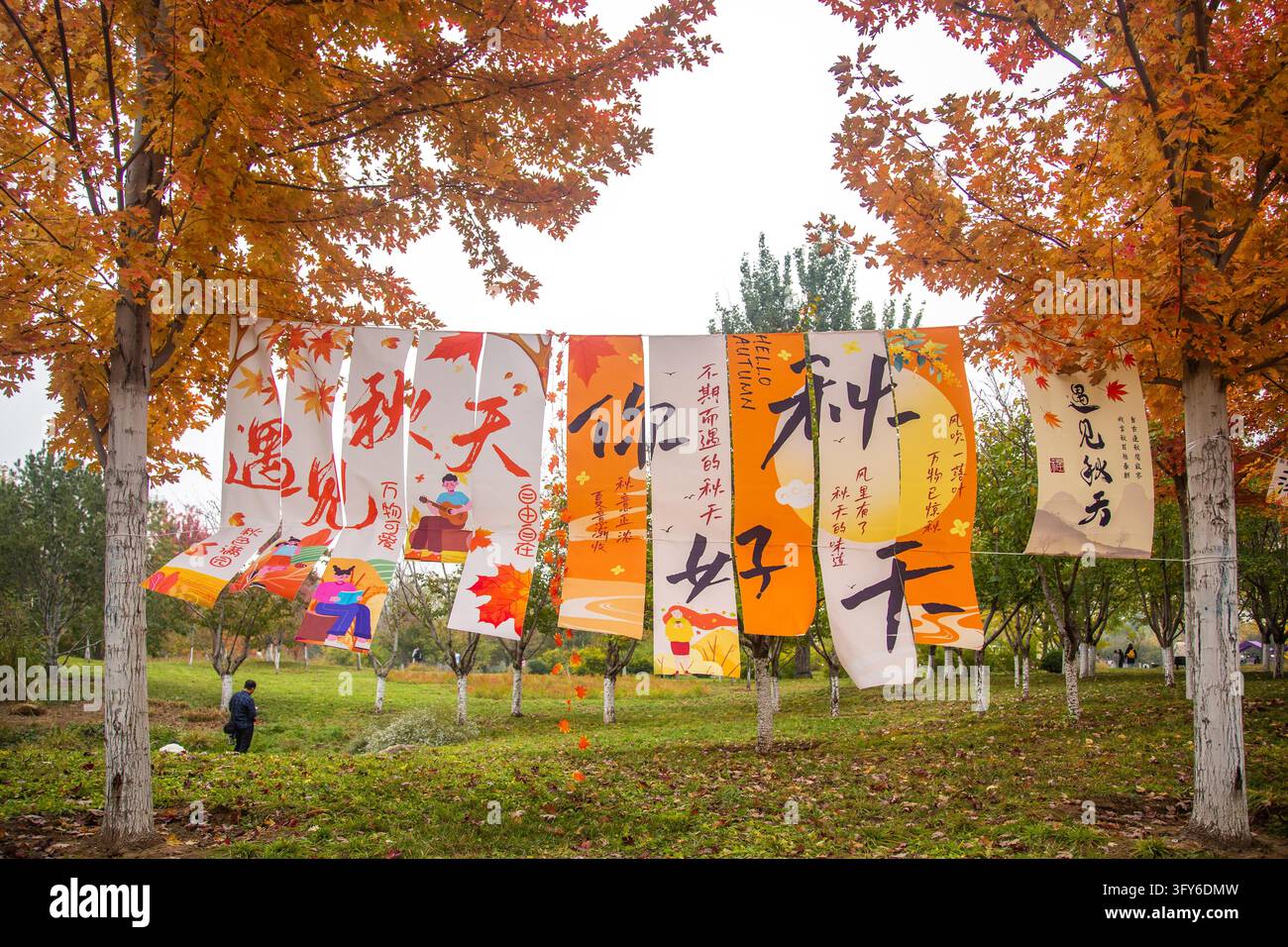 Red Ribbon Maple A 4.4-km 'Red Leaf Avenue' enters its peak viewing season in Beijing's ...