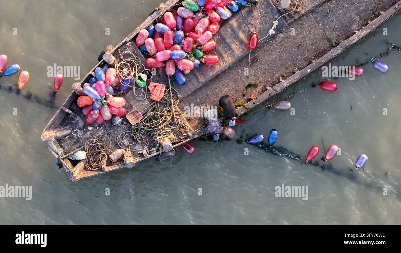 Fish Worker Workers sail fishing boats at sunrise to replace buoys at a marine ...