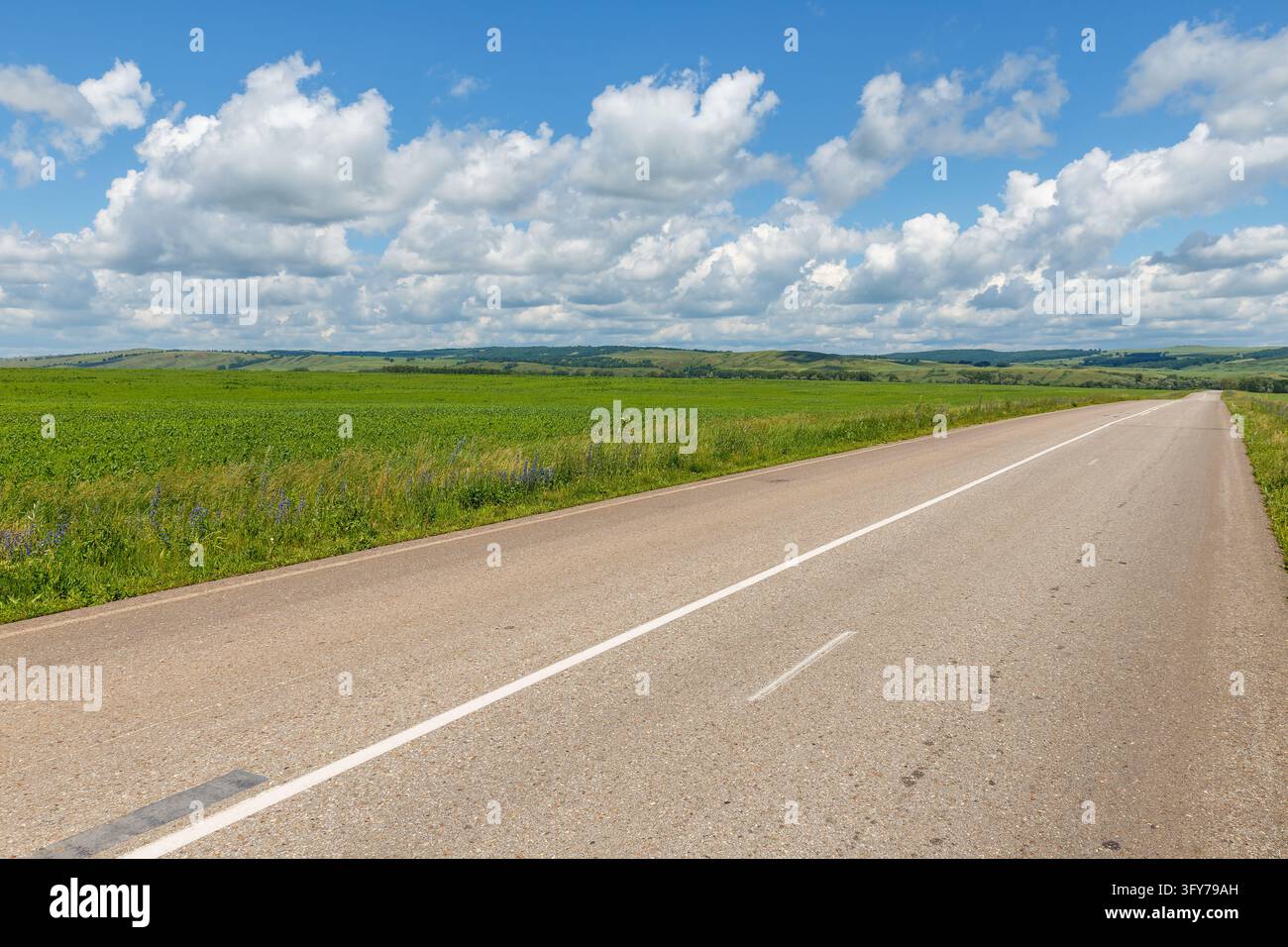 Empty asphalt road stretching along green agricultural field by rolling ...