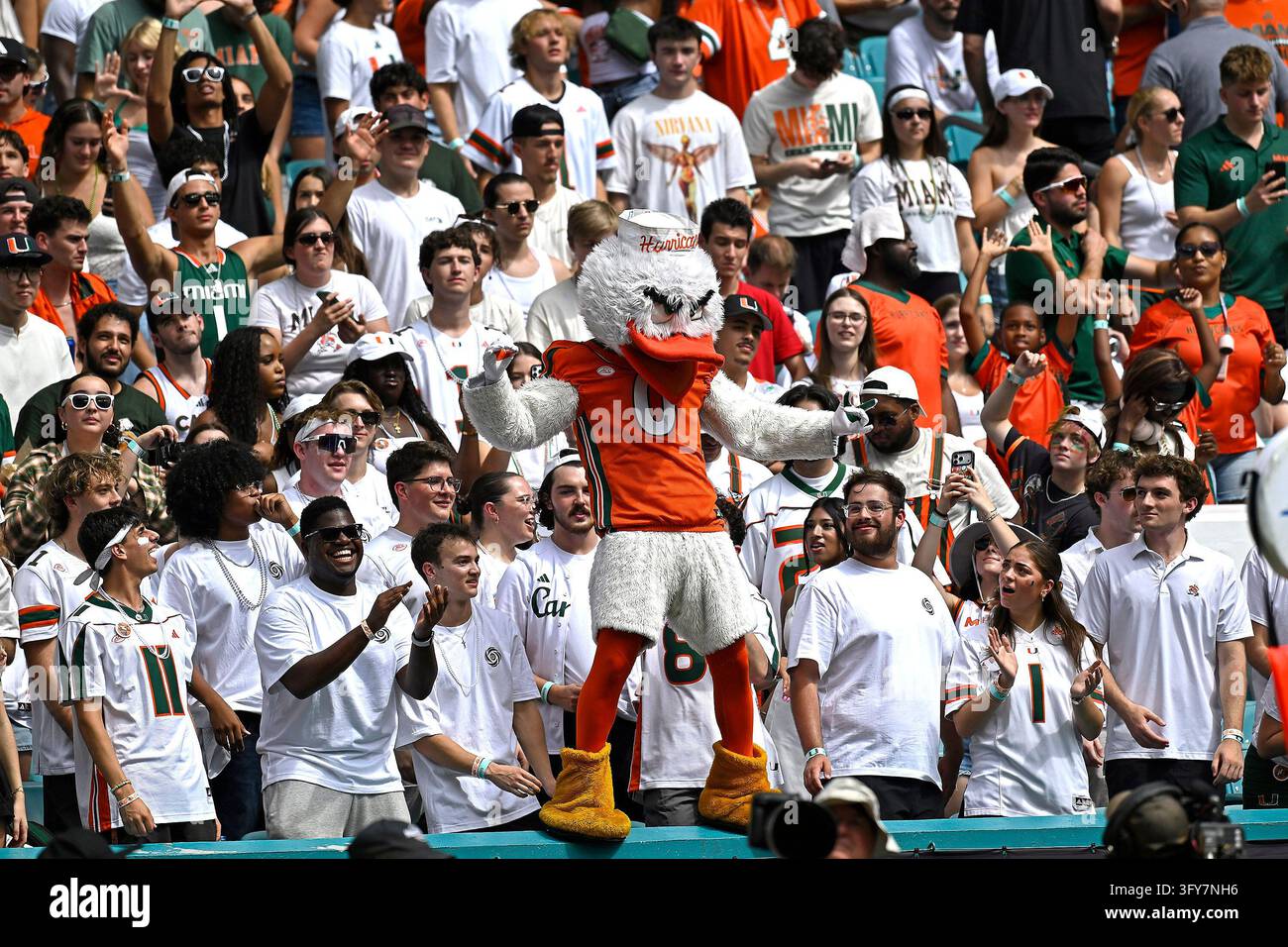 MIAMI GARDENS - OCTOBER 24: Miami's mascot, Sebastian the Ibis, fires ...