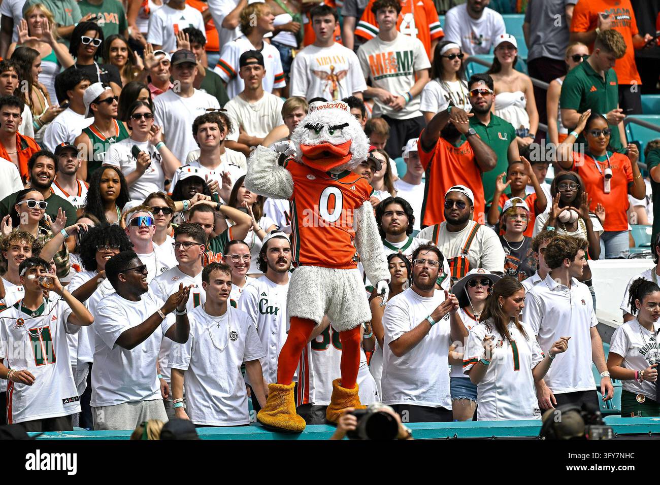 MIAMI GARDENS - OCTOBER 24: Miami's mascot, Sebastian the Ibis, fires ...