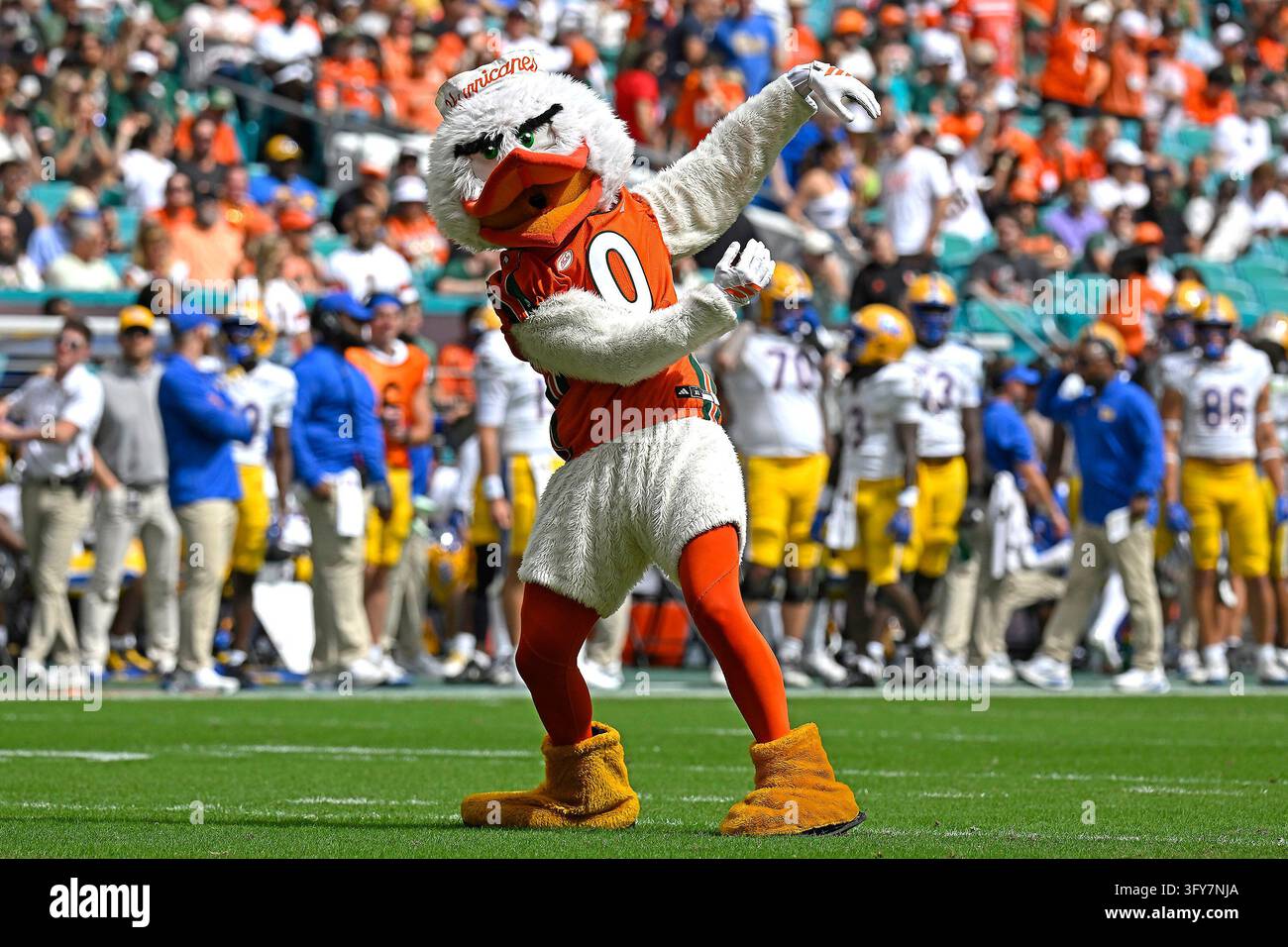 MIAMI GARDENS - OCTOBER 24: Miami's mascot, Sebastian the Ibis, fires ...