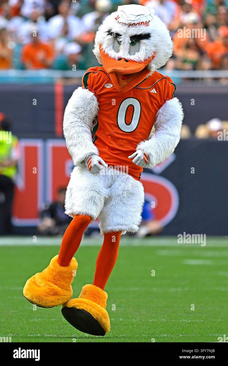 MIAMI GARDENS - OCTOBER 24: Miami's mascot, Sebastian the Ibis, fires ...