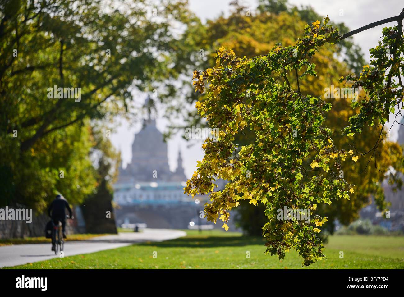 File Processing Background 26 October 2026, Saxony, Dresden: The sun shines on the autumn-colored ...