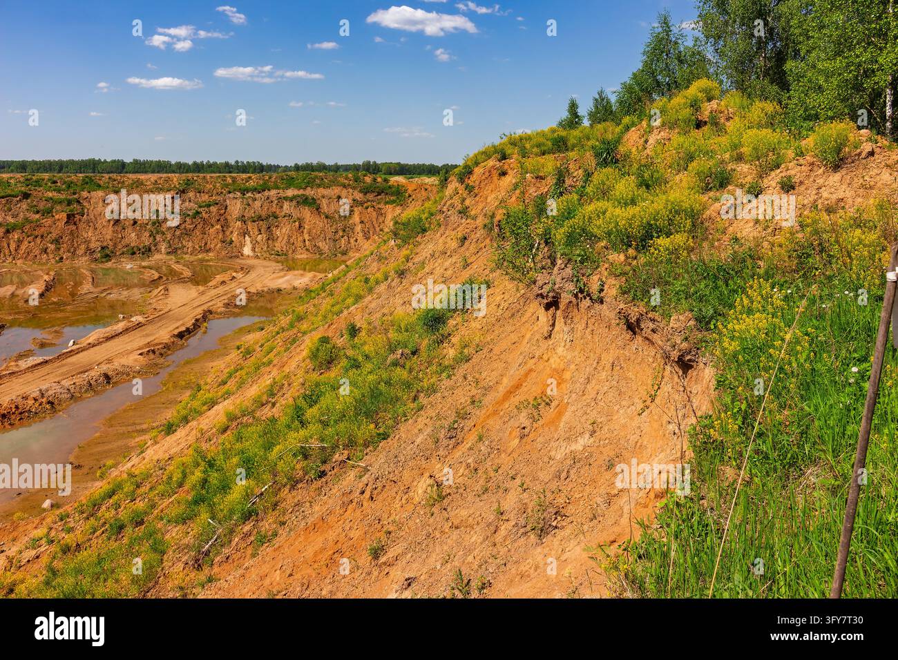 Overgrown abandoned sand quarry with sandy slopes, yellow wildflowers ...