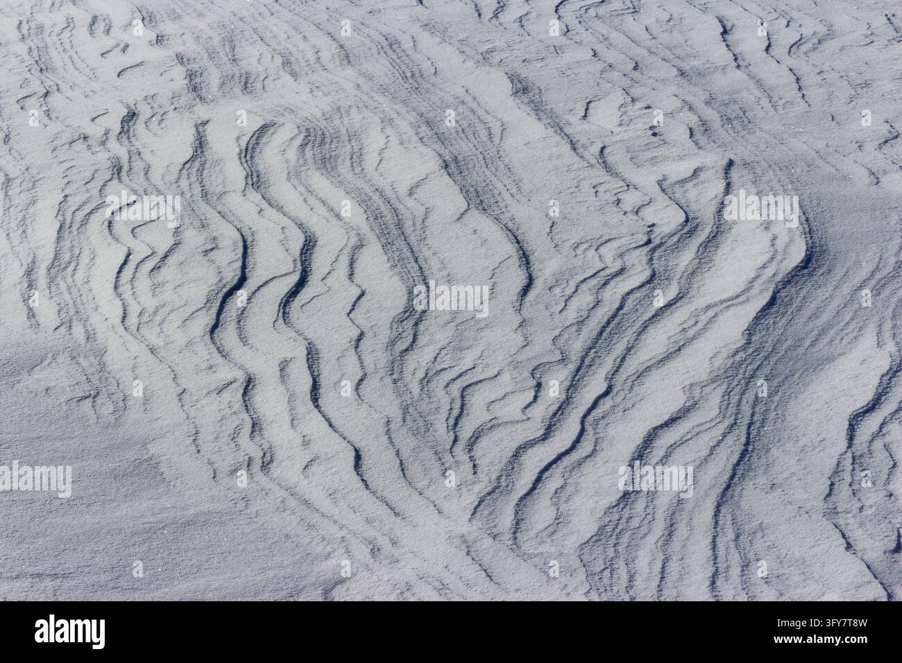Intricate patterns carved by harsh winds into deep fresh white snow on ...