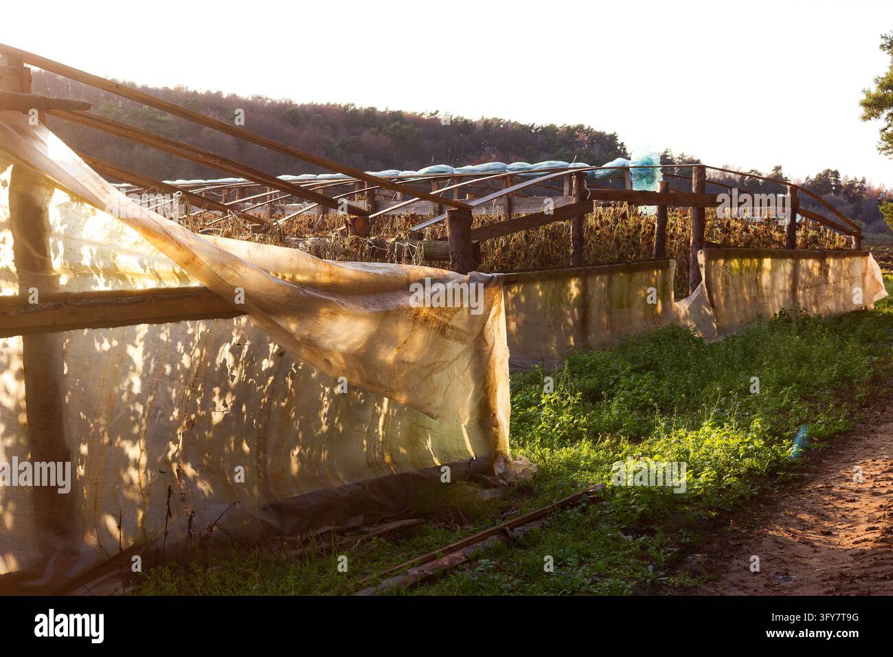 Disassembled greenhouse frames on a rural farm during late October ...