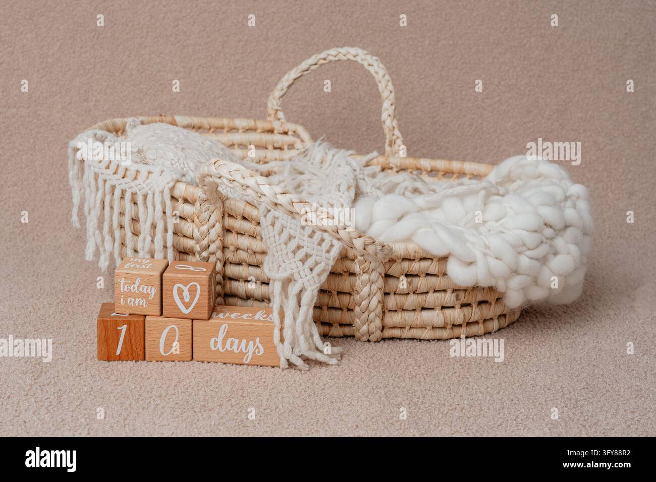 Professional newborn photography setup featuring a cozy wicker Moses ...
