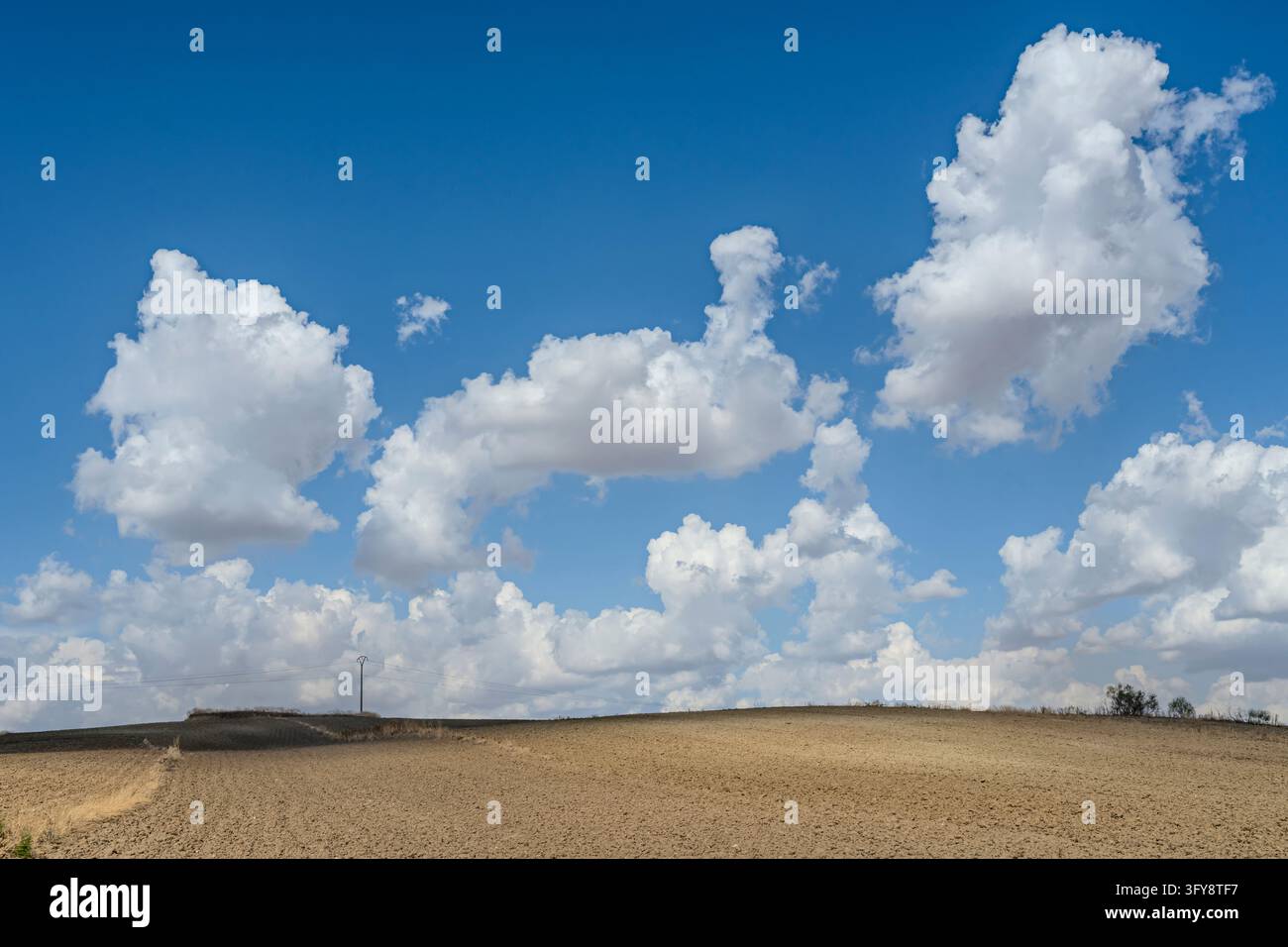Vast ploughed agricultural field under a bright blue sky filled with ...