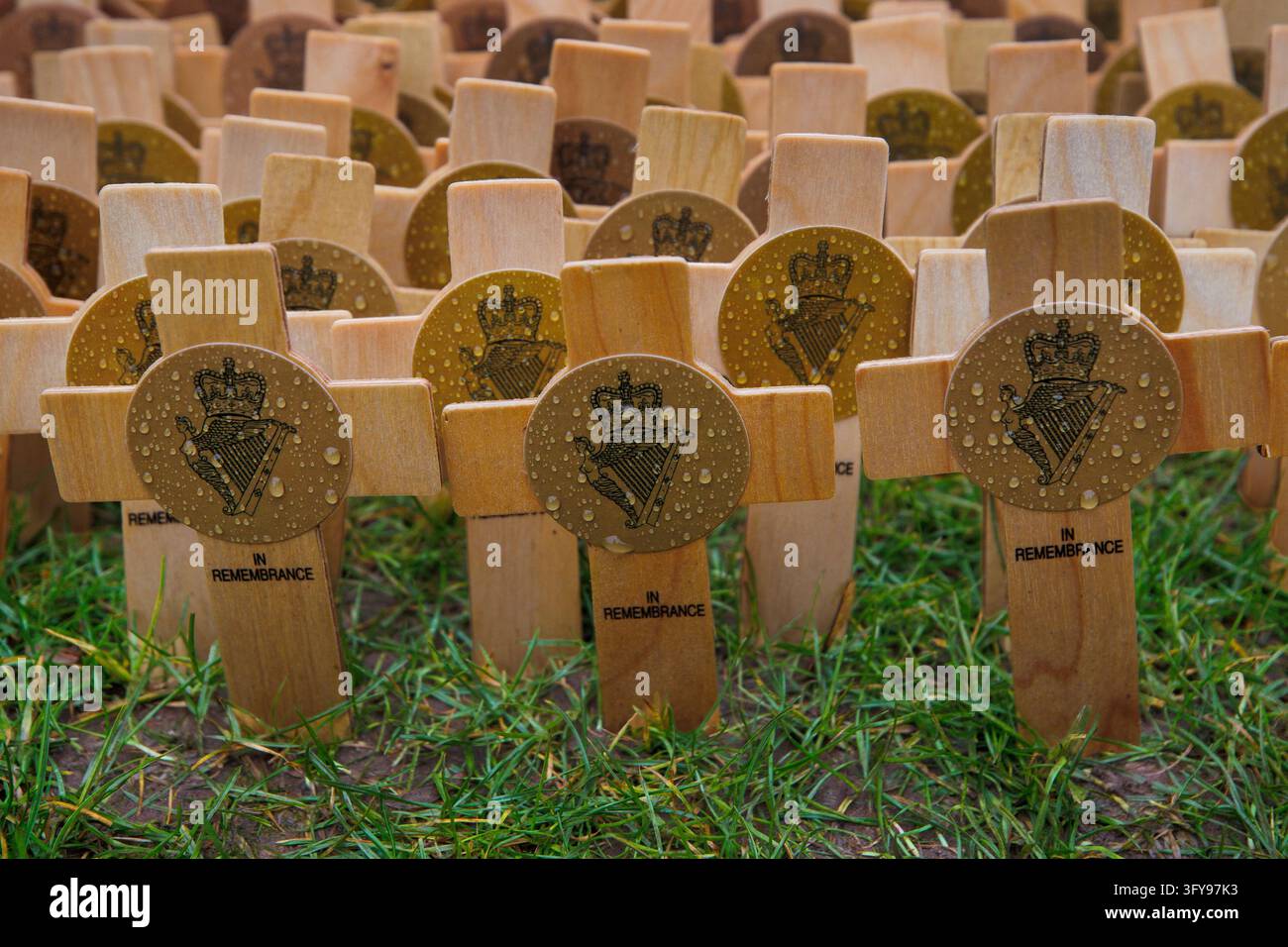 Wooden remembrance crosses bearing the crowned Maid of Erin harp emblem ...