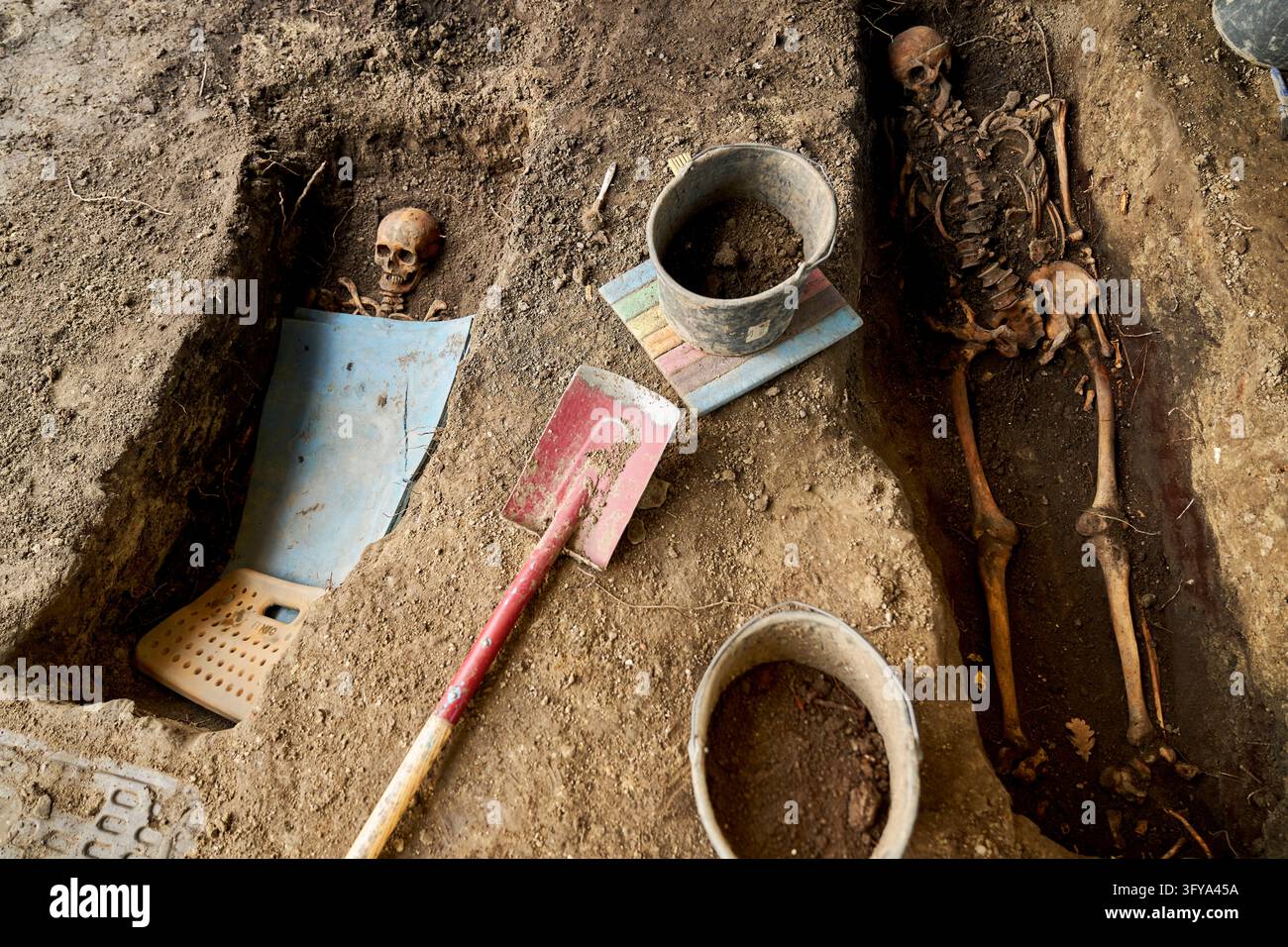 Excavated human remains are seen during archaeological investigations ...