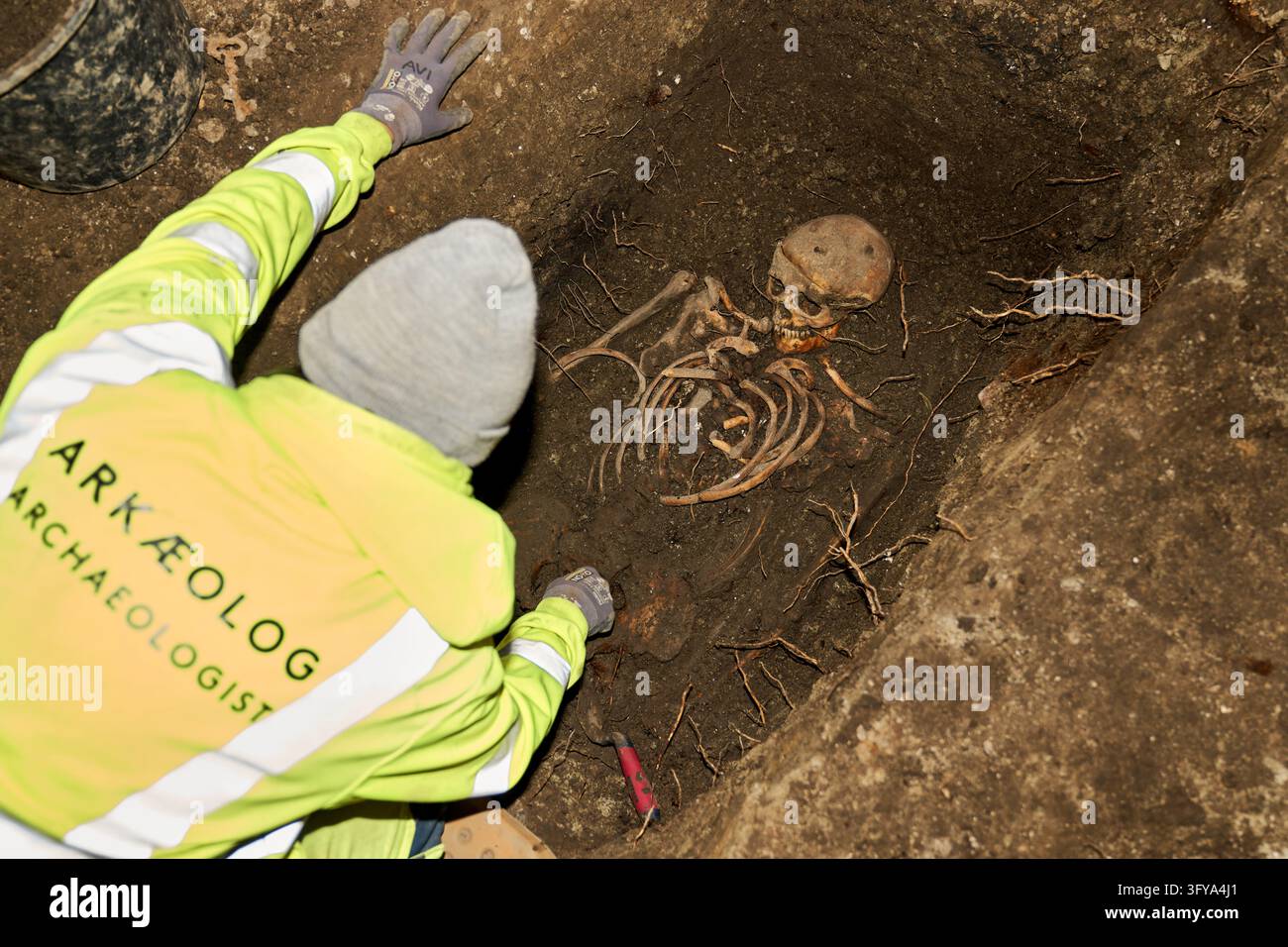 Excavated human remains are seen during archaeological investigations ...