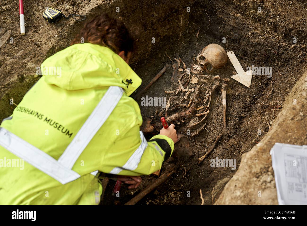 Excavated human remains are seen during archaeological investigations ...