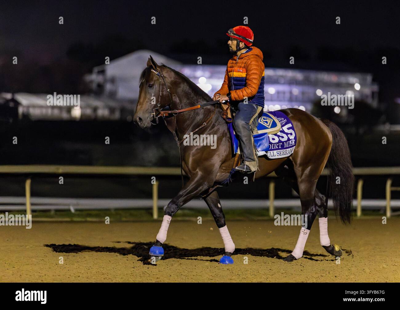 Return Filing Software Images October 11, 2026, Lexington, Ky, USA: Full Serrano exercises in ...