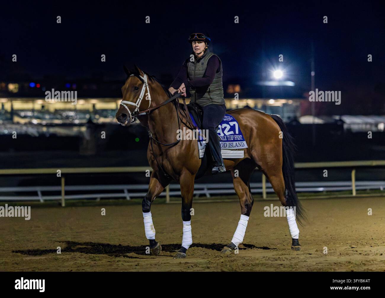 Return Filing Software Images October 11, 2026, Lexington, Ky, USA: Wood Island exercises in ...