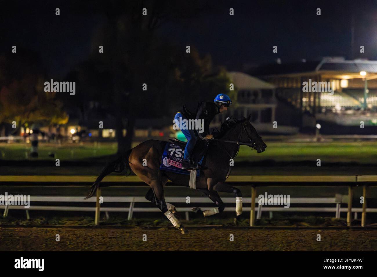 Return Filing Software Images October 11, 2026, Lexington, Ky, USA: Emphatic exercises in preparation ...