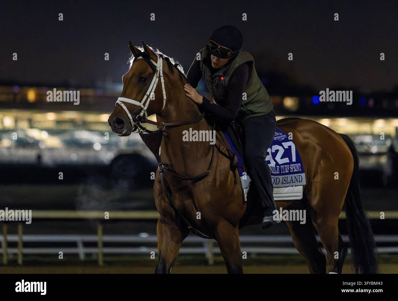 Return Filing Software Images October 11, 2026, Lexington, Ky, USA: Wood Island exercises in ...