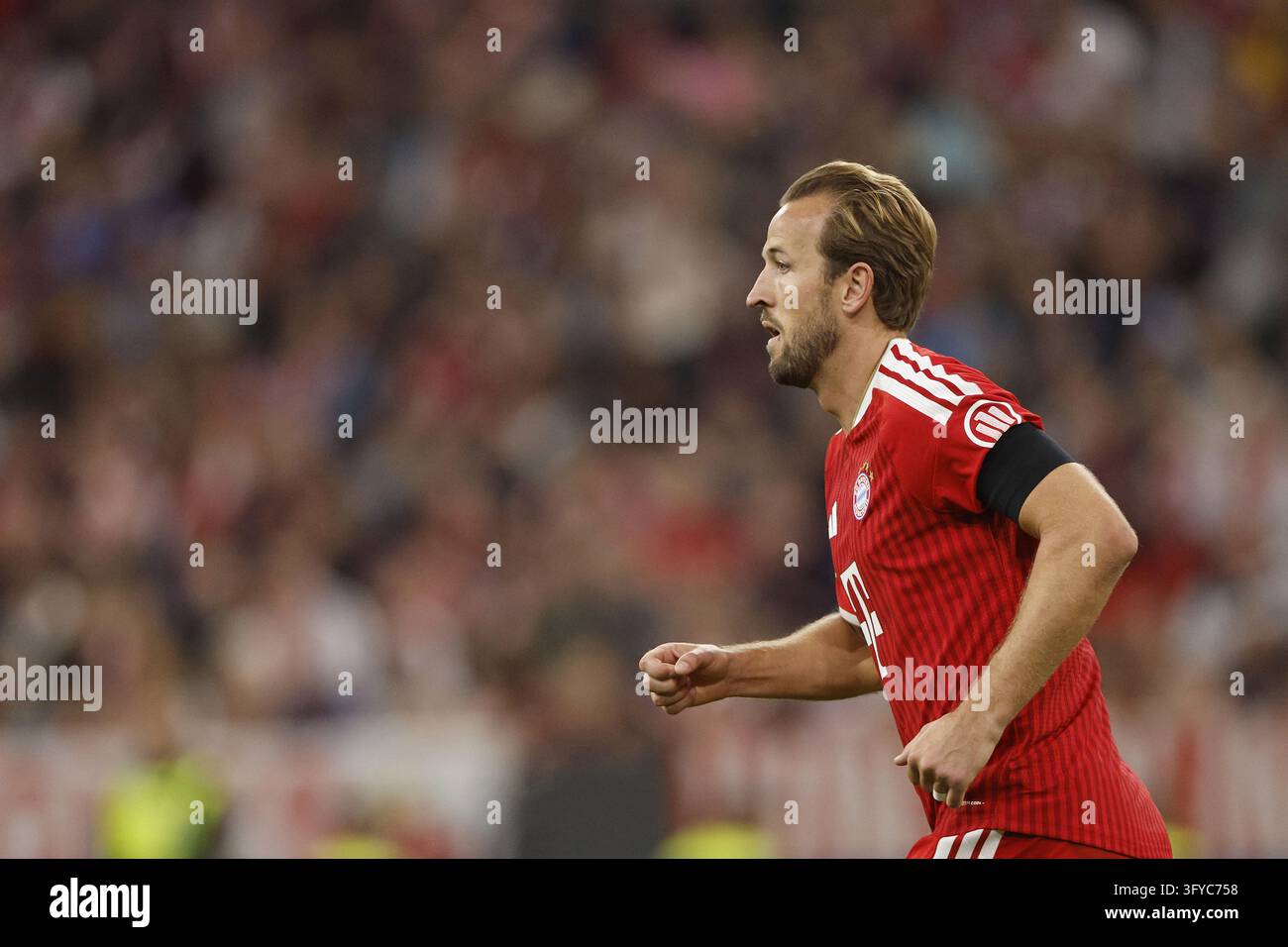 MUNICH - Harry Kane of FC Bayern Munich during the Champions League ...