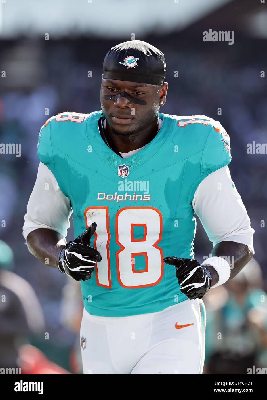 Bell Emage Miami Dolphins wide receiver Chris Bell (18) reacts during an NFL ...