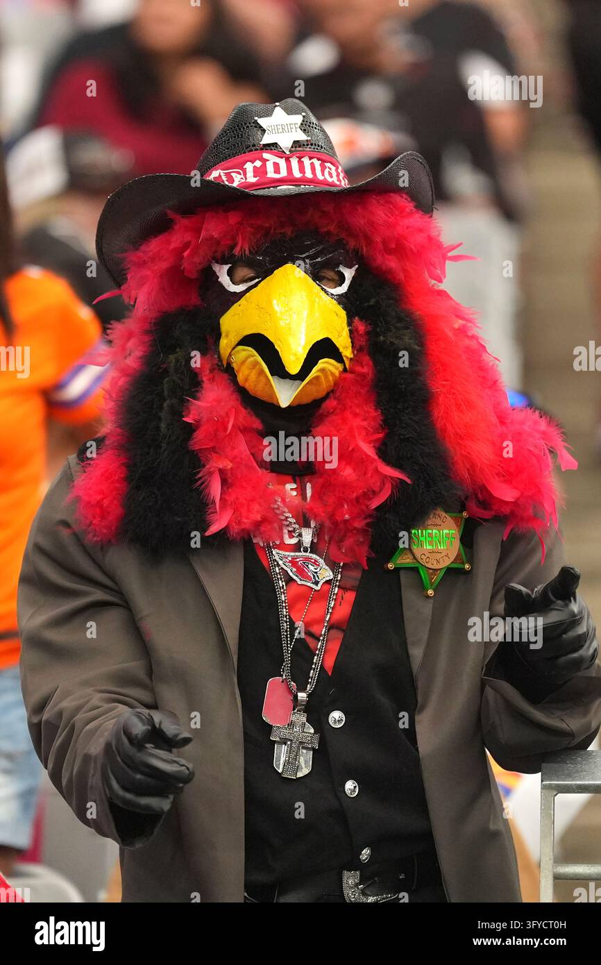 An Arizona Cardinals fan watches the Cardinals warm up prior to an NFL ...