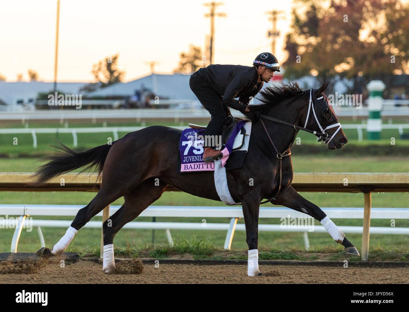 October 11, 2026, Lexington, Ky, USA: Badittude exercises in ...