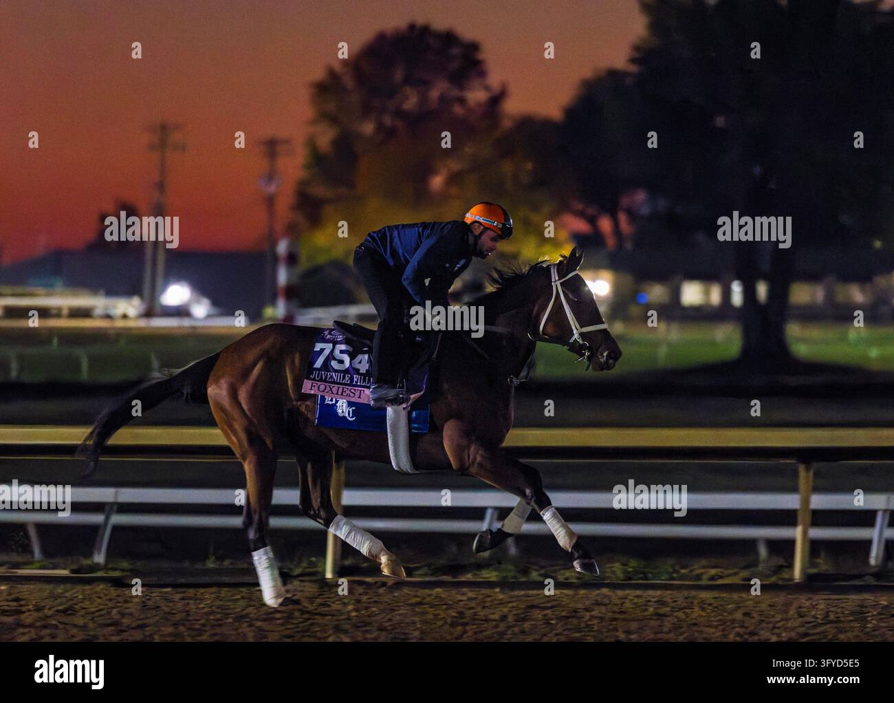 Return Filing Software Images October 11, 2026, Lexington, Ky, USA: Foxiest exercises in preparation ...